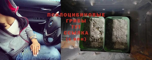 молекула духа Карталы